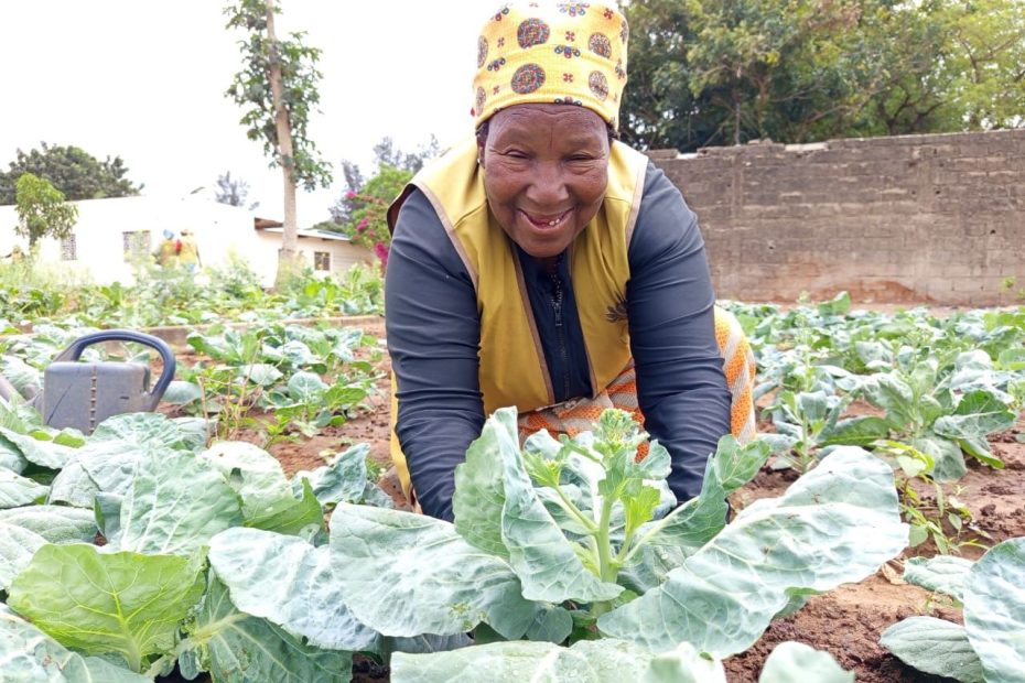 Virgínia Sambo, a história de uma voluntária que superou a dor e escolheu “plantar compaixão”