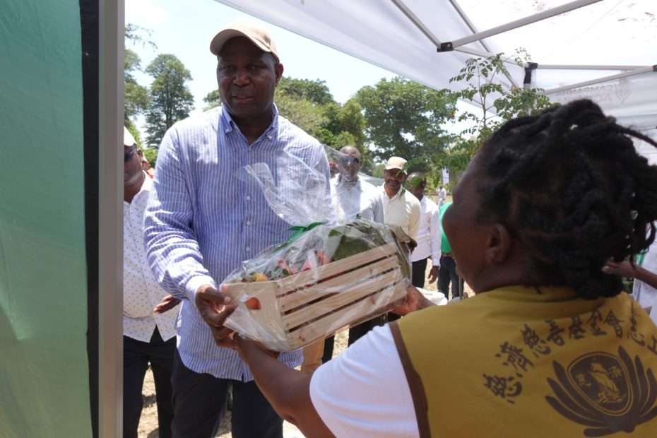 Produção agrícola de voluntários da Tzu Chi prevê mais de mil toneladas para alimentar alunos e doentes na campanha agrária de 2025- 2026
